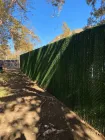 IMG_16871