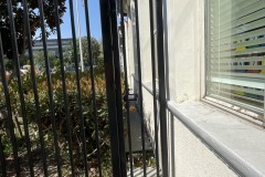 76497830366__E42E1681-35F8-405D-83EF-DAF99DA01197