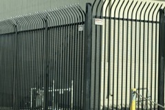 76884292108__283C72C0-50F5-488D-9066-D359A82C6D1B