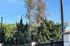 IMG_82341