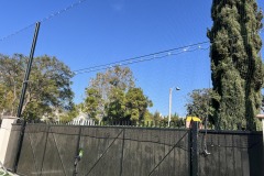 IMG_82481