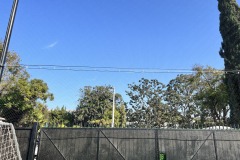 IMG_82501